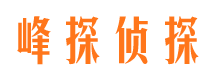 衡东市侦探公司